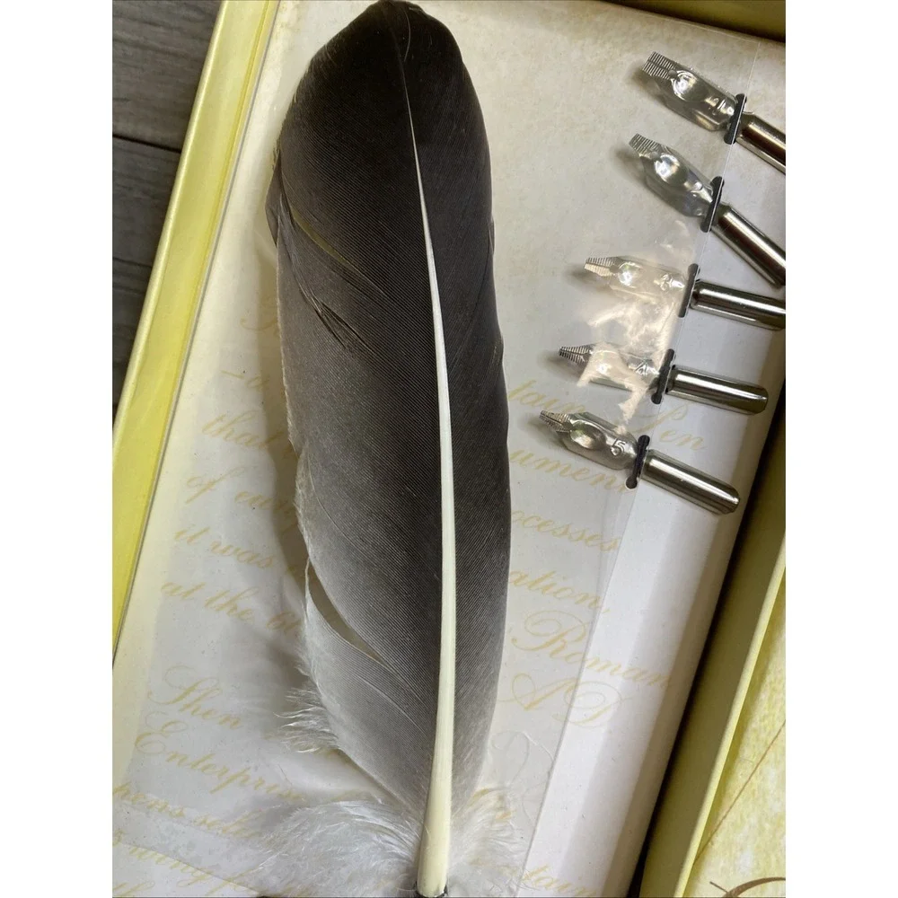Feather Writing Fountain Caligraphy Dip Pen Quill With 5 Nibs & Box Set
